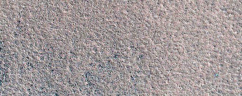 Northern Plains Terrain