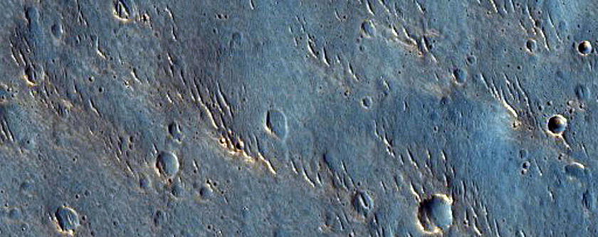 Chryse Planitia