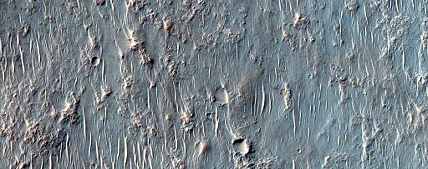 Possible Olivine-Bearing Materials on Terra Sirenum Crater Floor