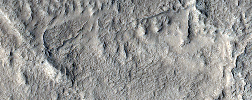 Straight Ridge in Northern Mid-Latitudes