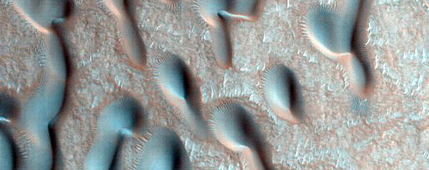 Dune Monitoring in Crater