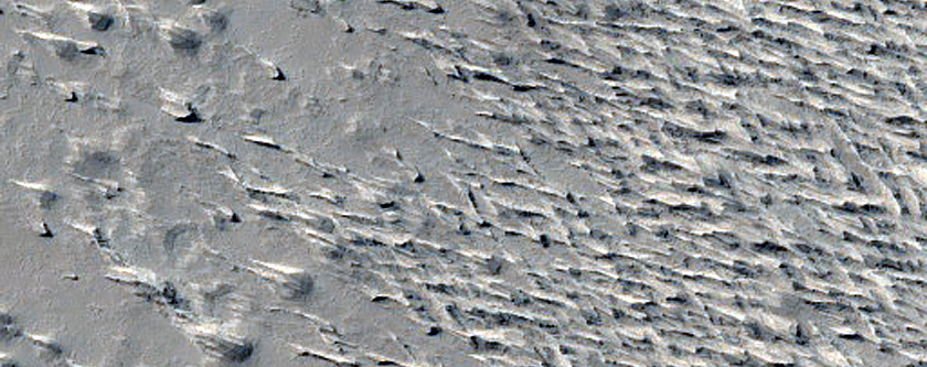 Monitoring New Impact Site