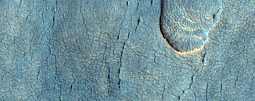 Scalloped Depressions in Utopia Planitia