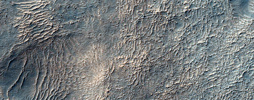 Candidate Paleobedforms in East Hellas Planitia 