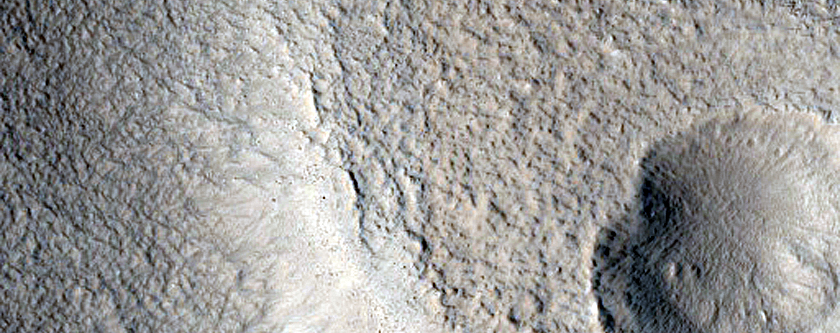 Knobby Terrain in Erebus Montes