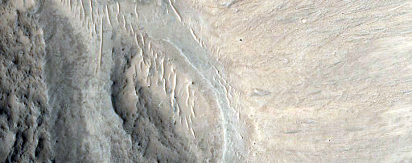 Gully Monitoring