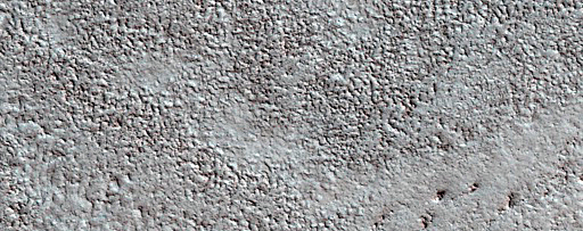 Terrain Sample