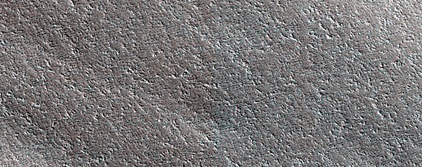 Terrain Sample