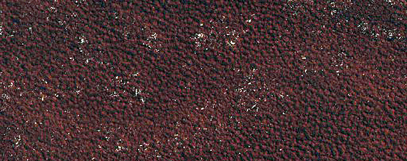 Terrain Sample
