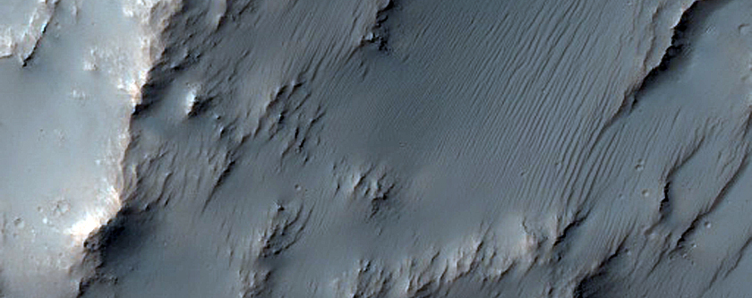 Possible Layers in Low Latitudes