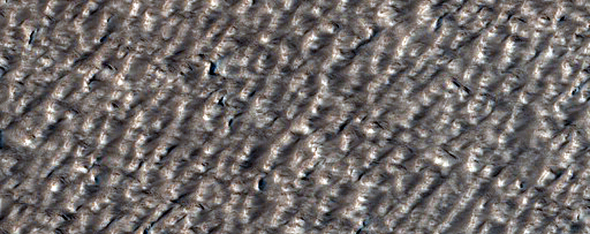 Northern Mid-Latitude Terrain
