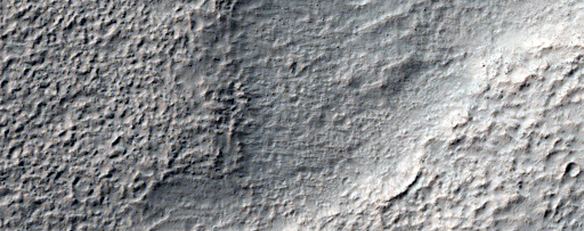 Possible Olivine Exposure within Newton Crater