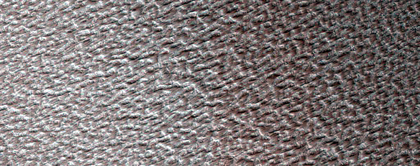 Terrain Sample