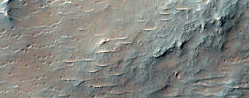 Southern Mid-Latitude Terrain