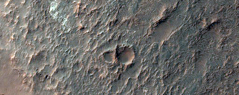 Possible Chloride-Rich Terrain along Nigral Vallis