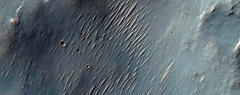 Southern Mid-Latitude Terrain