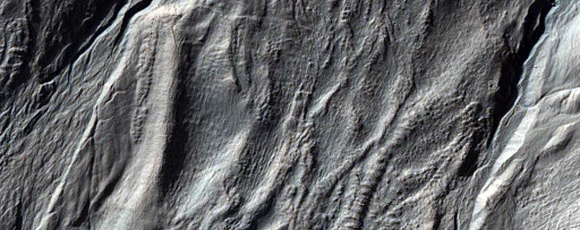 Gully Monitoring