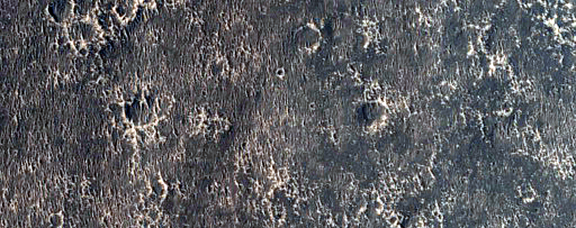 Terrain Sample in Nepenthes Mensae