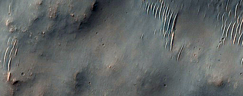Southern Mid-Latitude Terrain