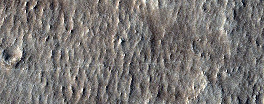 Northern Mid-Latitude Terrain
