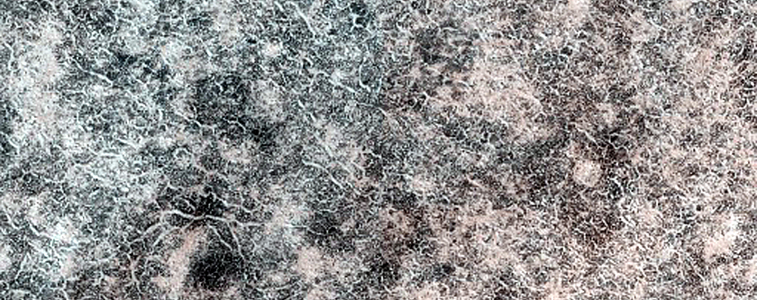 Terrain Sample in Scandia Colles