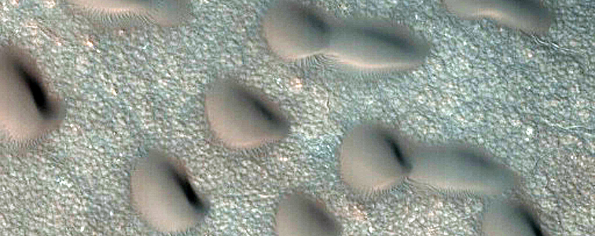 Dune Monitoring in Crater