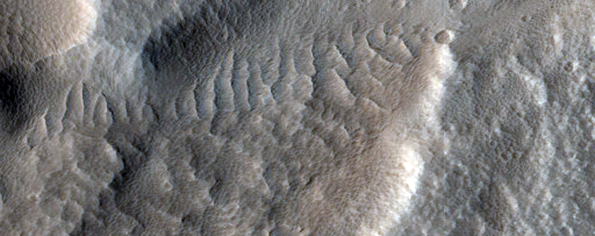 Terrain Sample in Tempe Fossae