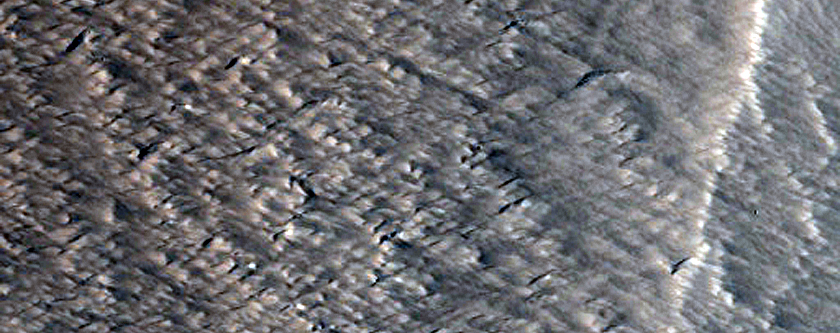 Northern Mid-Latitude Terrain