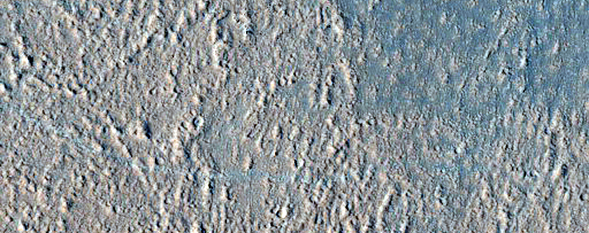 Terrain Sample in Amazonis Planitia