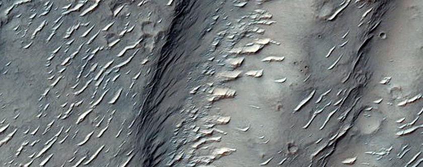 Southern Mid-Latitude Terrain