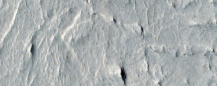 Large Raised Curvilinear Ridge