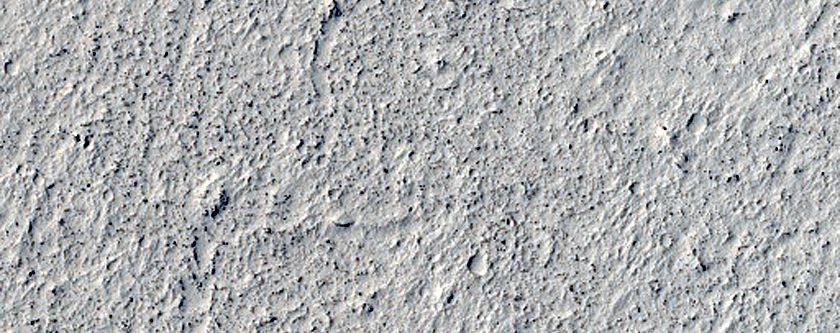 Flow Margin in Elysium Planitia