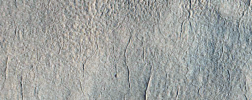 Material Contact in Utopia Planitia