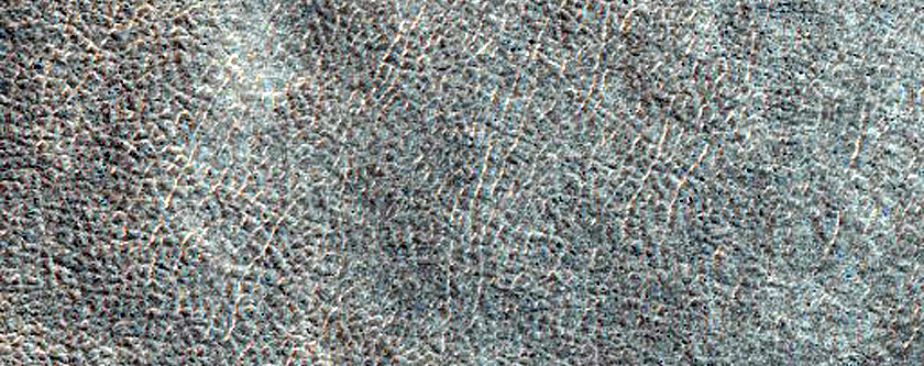 Terrain Sample
