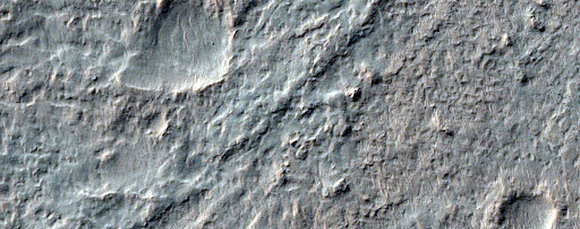 Possible Olivine-Bearing Materials Exposed by Crater within Newton Crater