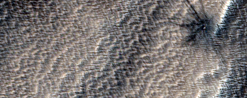 Candidate Recent Impact Site
