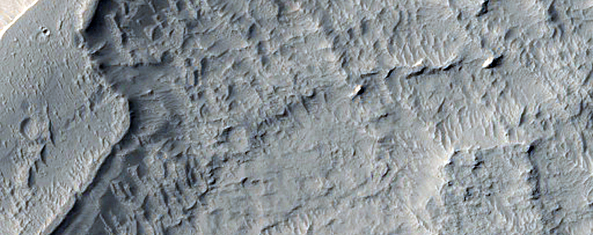 Possible Hydrous-Rich Minerals in Lucus Planum