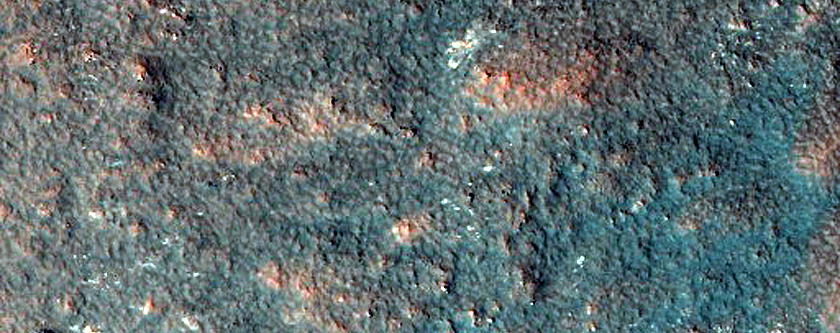 Dune Monitoring in Crater