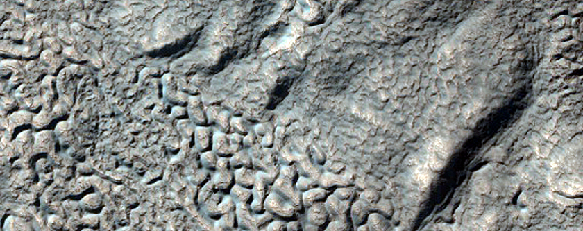 Brain Terrain on Floor of Crater in Warrego Valles