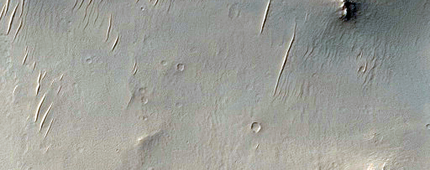 Daedalia Planum