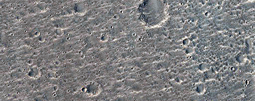 Trough Landforms in Elysium Planitia