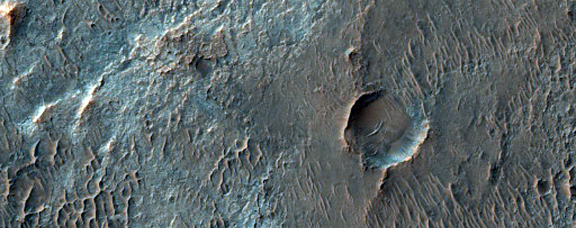 Chlorides and Mafic Minerals in Northern Noachis Terra