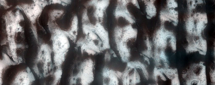 Dune Monitoring in Lomonosov Crater