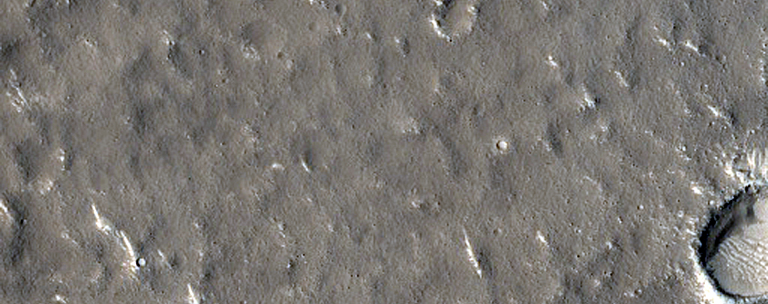 Fractures in Utopia Planitia