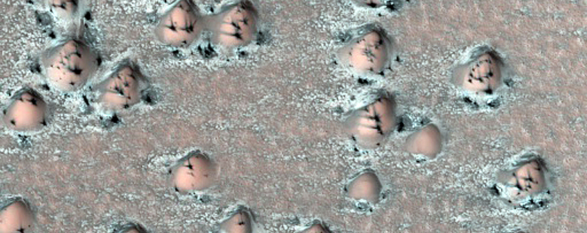 Southerly Dunes in North Polar Erg