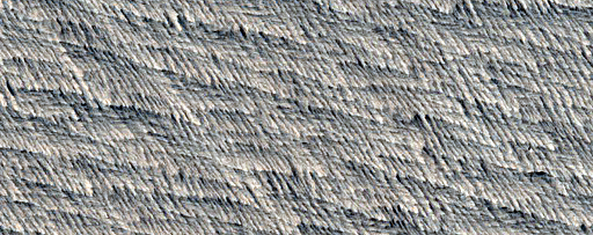 Candidate Recent Impact Site