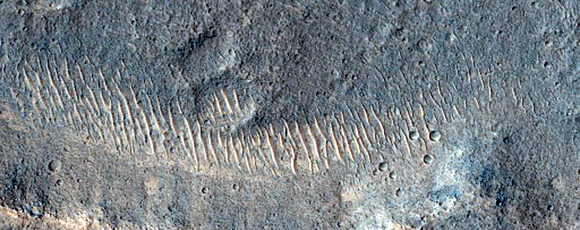 Streamlined Landforms Adjacent to Shalbatana Vallis