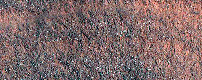 Gully and Frost Monitoring