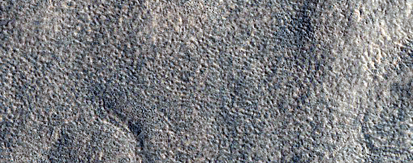 Utopia Planitia Survey