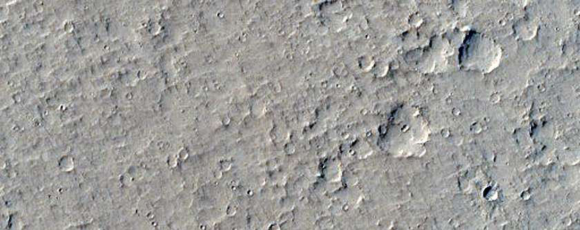 Amazonis Planitia